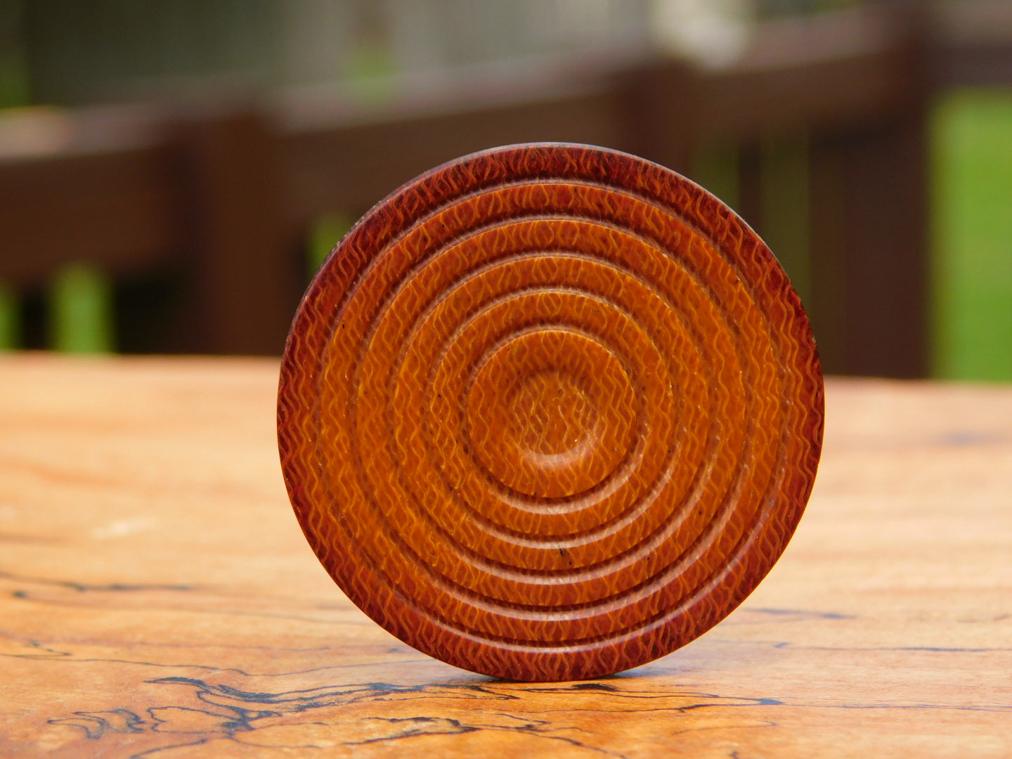 Westinghouse Canvas Coin