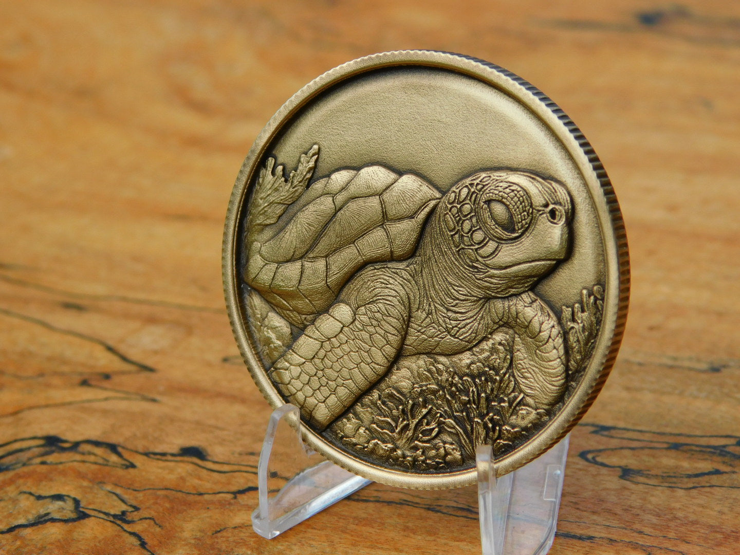 The Turtle Club Coin