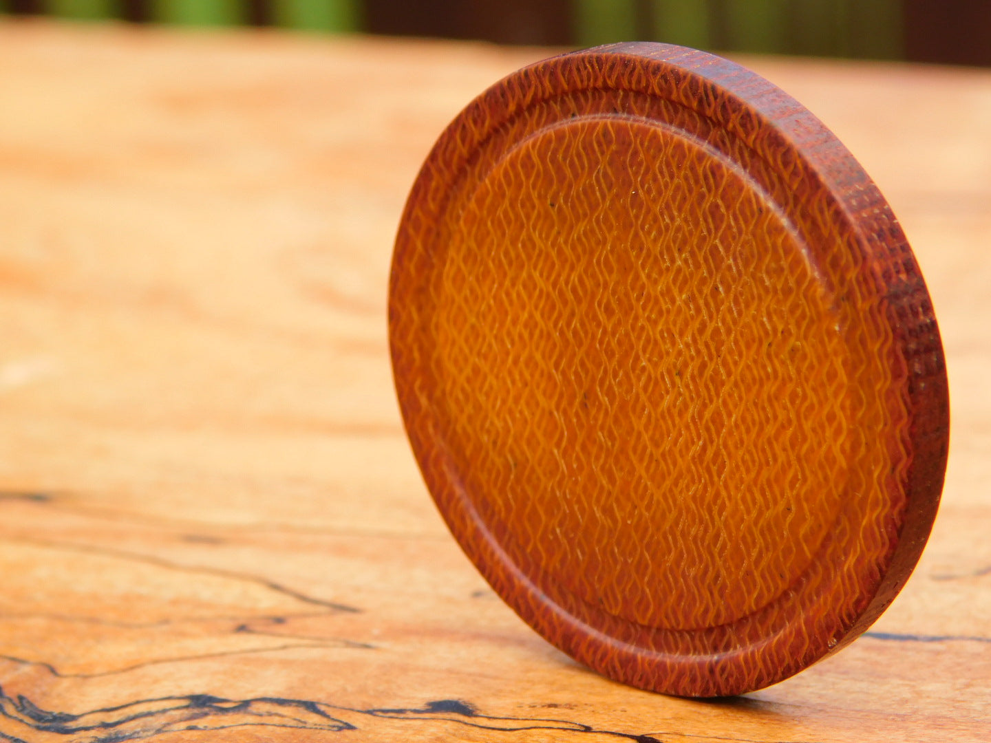 Westinghouse Canvas Coin
