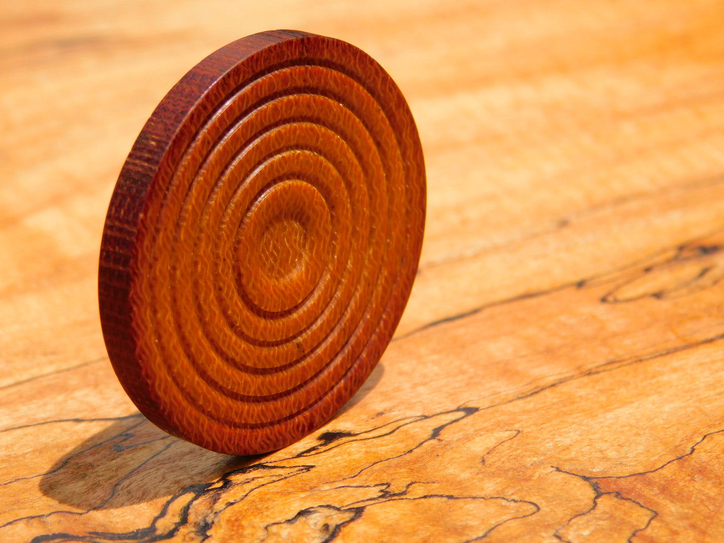 Westinghouse Canvas Coin