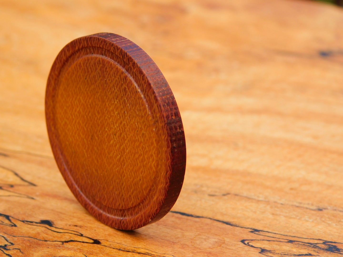 Westinghouse Canvas Coin