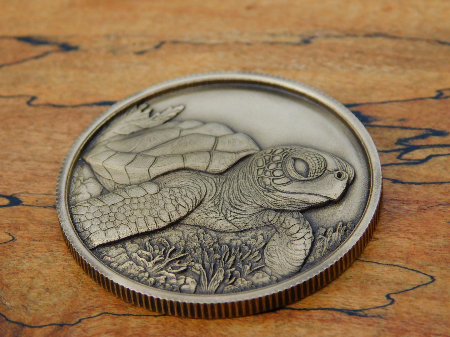 The Turtle Club Coin