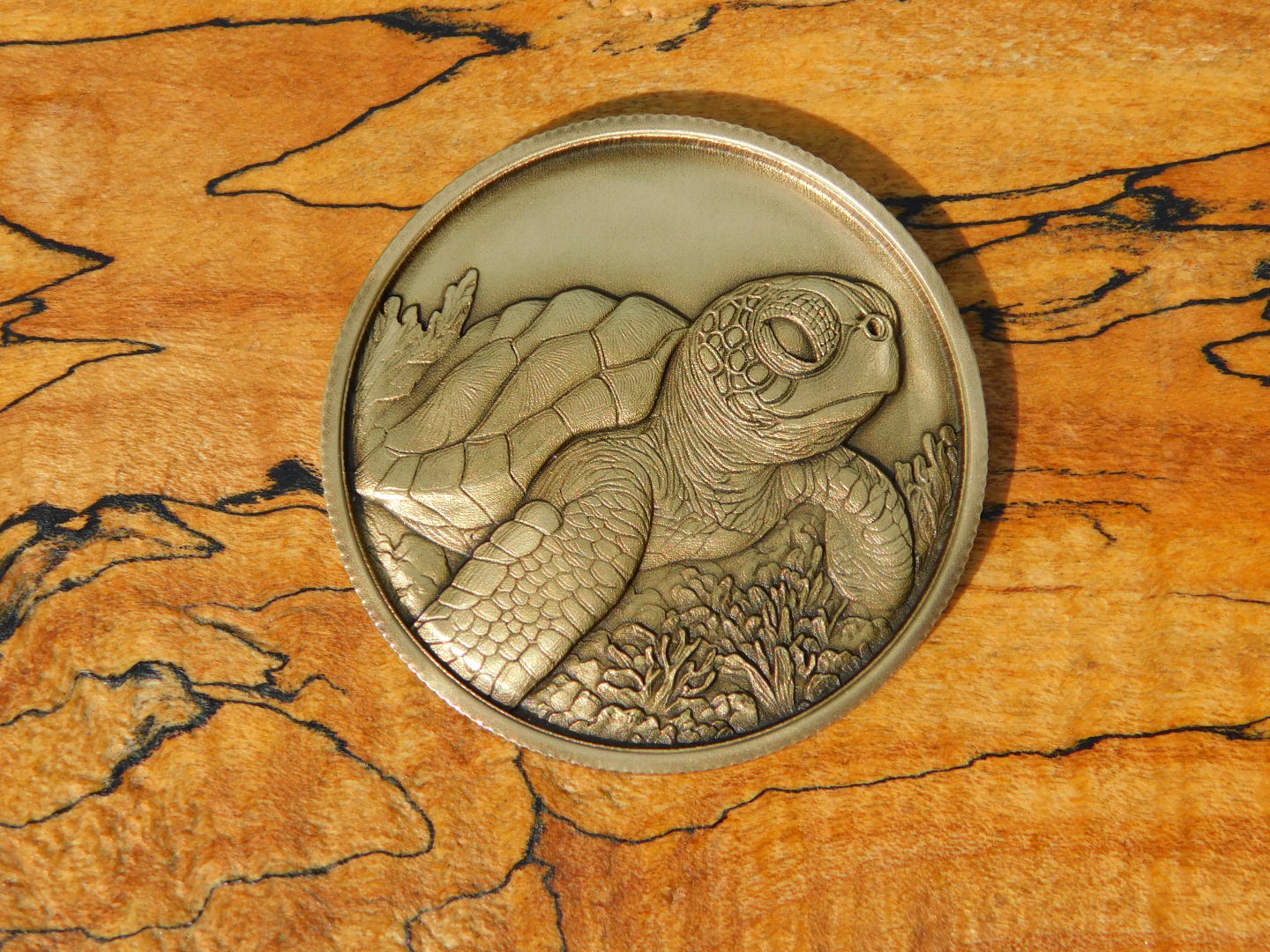 The Turtle Club Coin