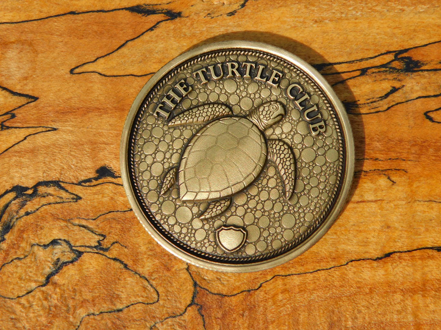 The Turtle Club Coin