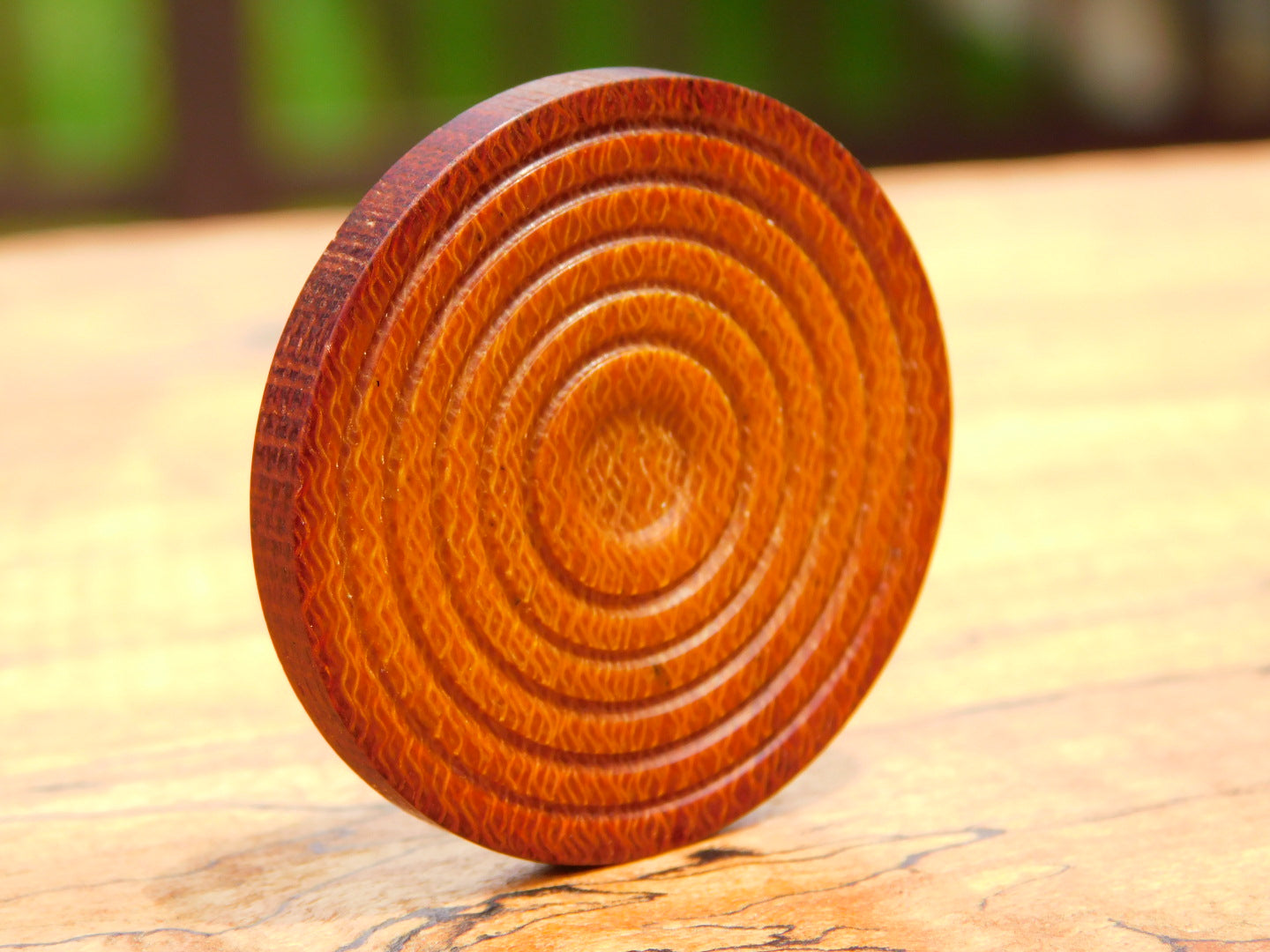 Westinghouse Canvas Coin